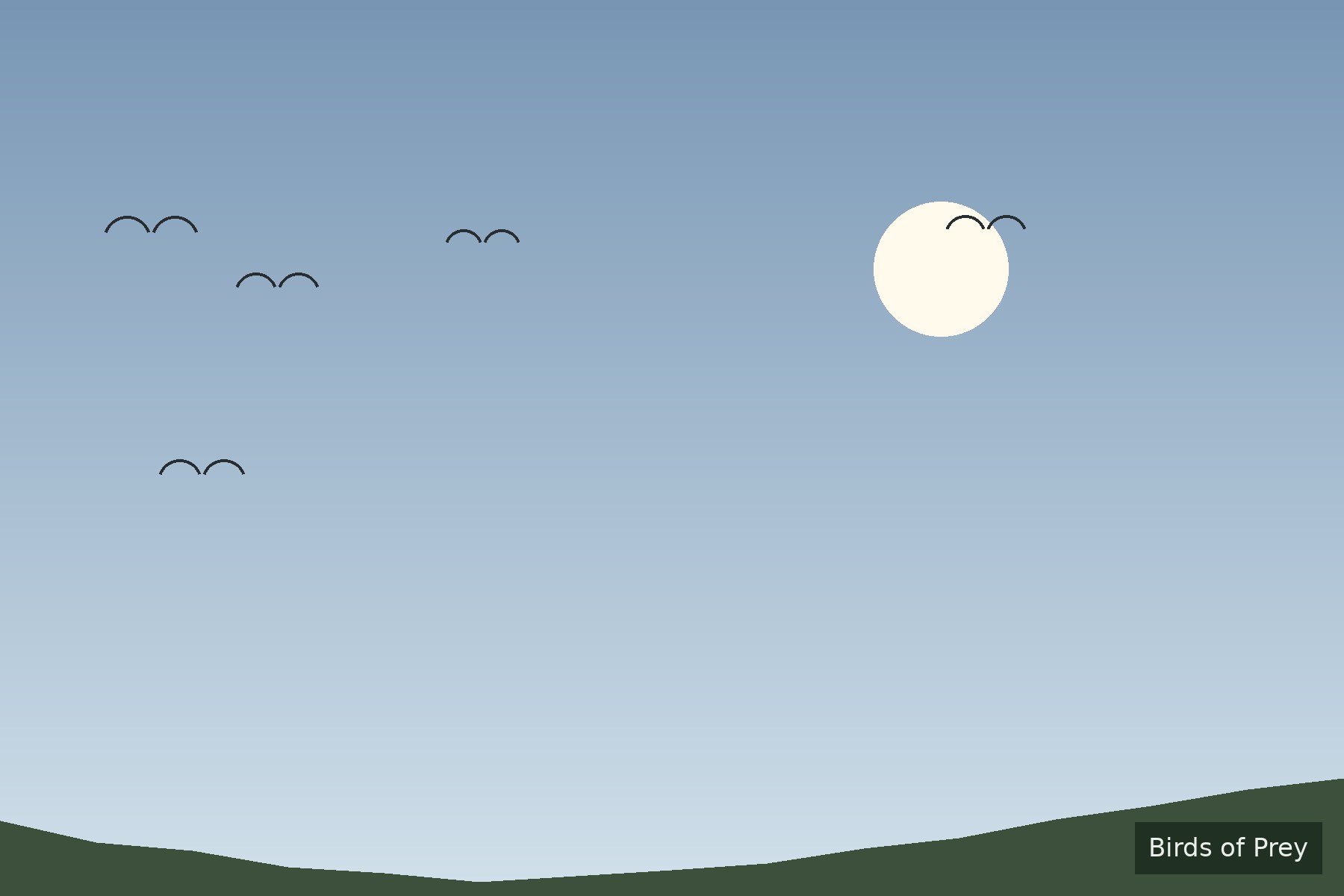 Birds of prey hunting in soft directional light