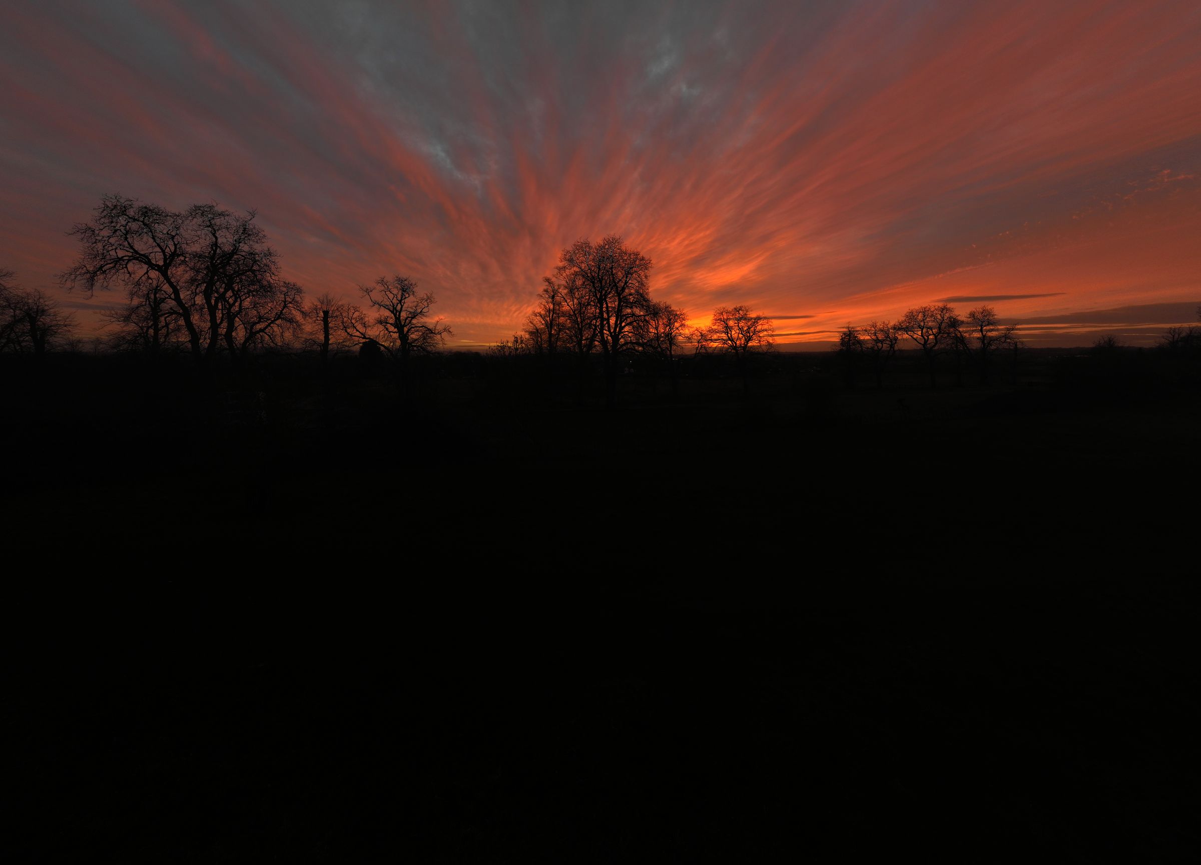 Last Light Oaks