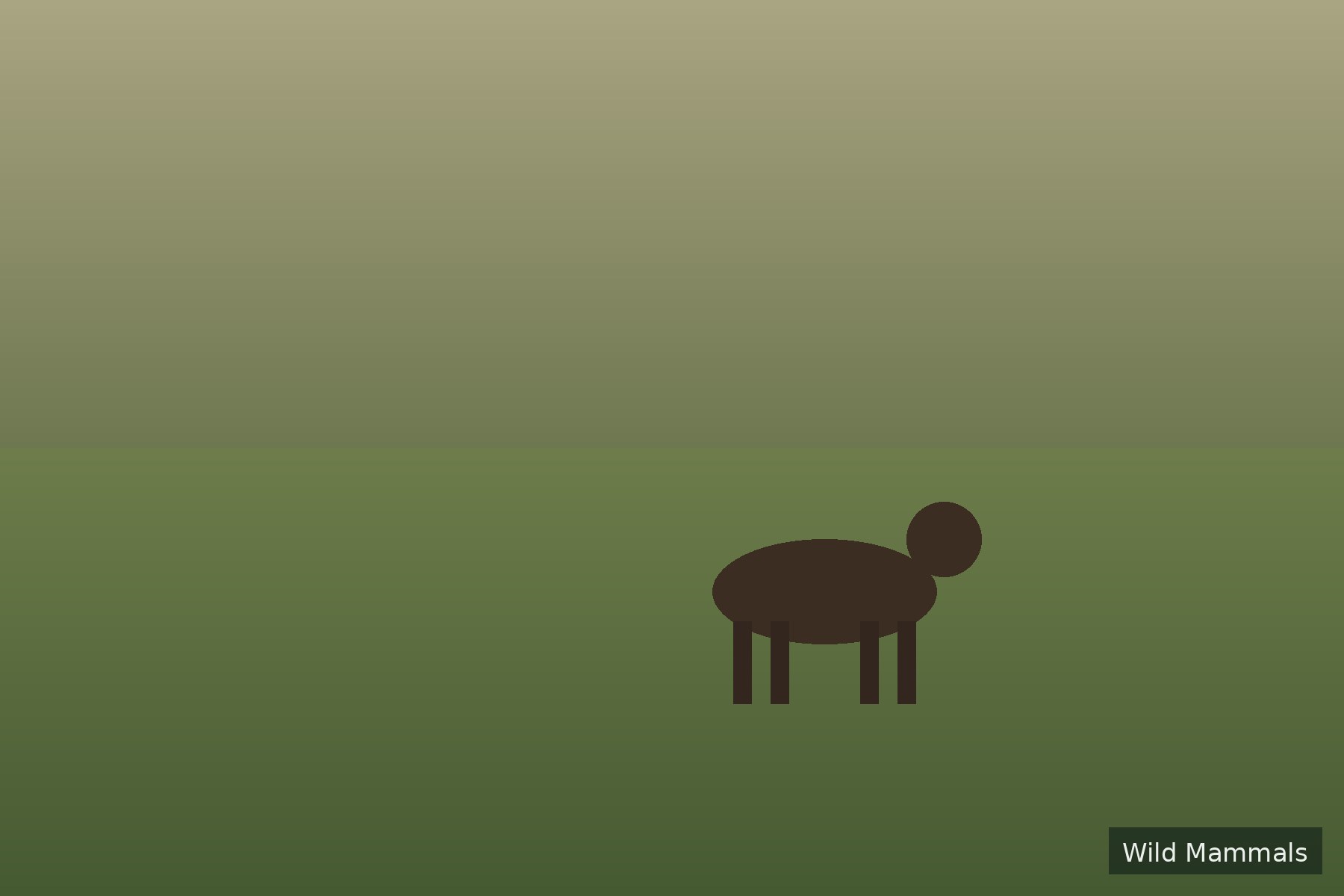 Wild Mammals — UK moor & meadow