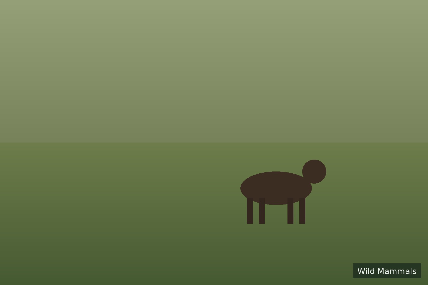 A wild mammal in meadow grass under the last warm light of day